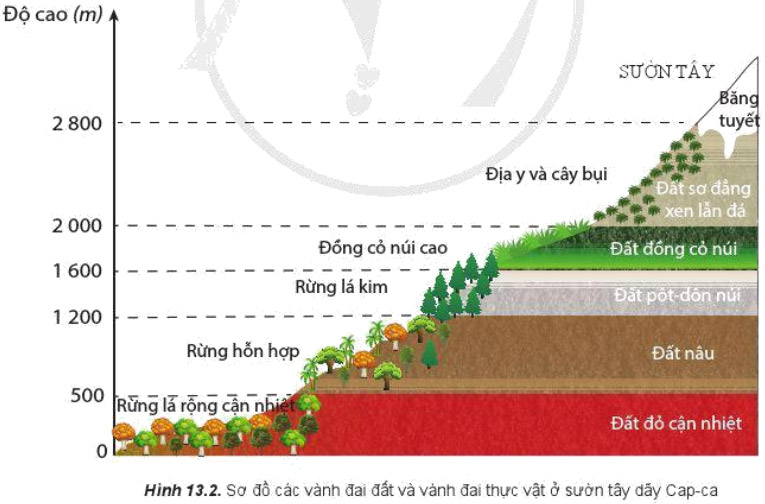 Giải Địa 10 Bài 13