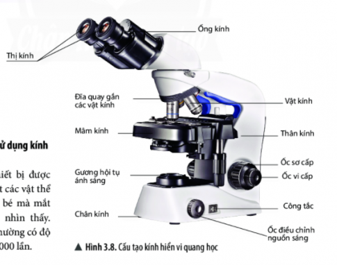 Giải KHTN 6 Chan trời sáng tạo