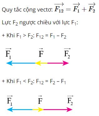 Giải Lý 10 Bài 5