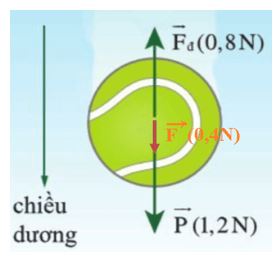 Giải Lý 10 Bài 5