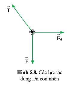 Giải Lý 10 Bài 5