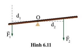 Giải Lý 10 Bài 6