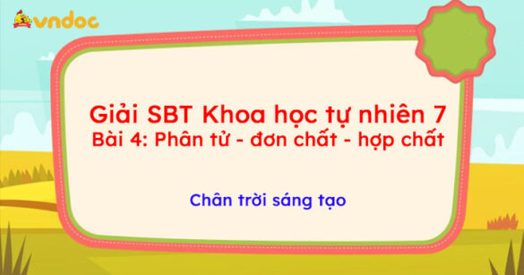 Giải SBT Khoa học tự nhiên 7 Bài 5: Phân tử - đơn chất - hợp chất CTST