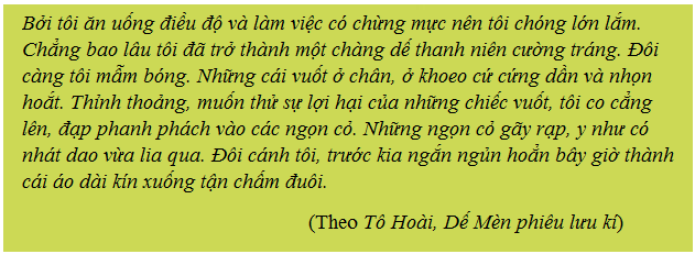 Giải bài tập SGK Tin học 6 bài 14: Soạn thảo văn bản đơn giản