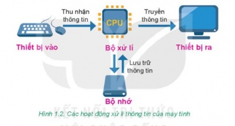 Giải Tin học 6 Kết nối tri thức