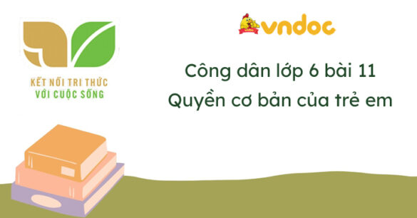 Giáo dục công dân 6 Bài 11 Quyền cơ bản của trẻ em