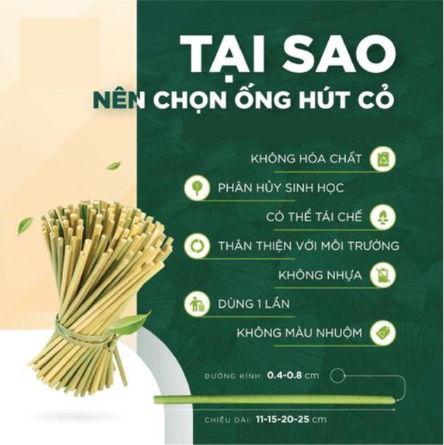 Vận dụng 1 trang 65 KTPL 11