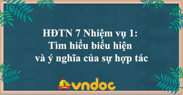 HĐTN 7 Nhiệm vụ 1: Tìm hiểu biểu hiện và ý nghĩa của sự hợp tác