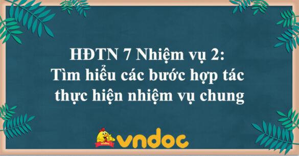 HĐTN 7 Nhiệm vụ 2: Tìm hiểu các bước hợp tác thực hiện nhiệm vụ chung