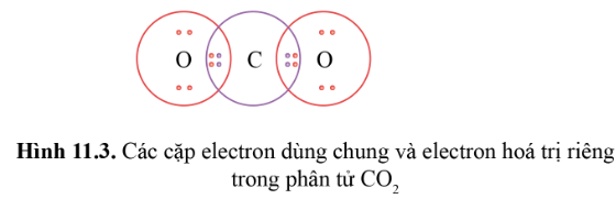 Giải Hóa 10 Bài 11: Liên kết cộng hóa trị Cánh diều