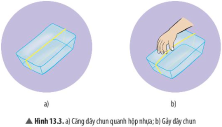 Hình 13.3 SGK KHTN 7 CTST