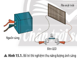 Câu 1 trang 78 Khoa học tự nhiên 7 CTST