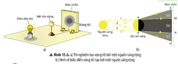 Câu 6 trang 80 Khoa học tự nhiên 7 CTST