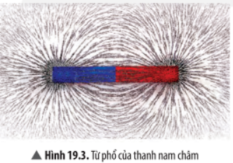 Khoa học tự nhiên 7 Bài 19: Từ trường Chân trời sáng tạo