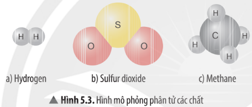 Hình 5.3 SGK KHTN 7 Chân trời sáng tạo