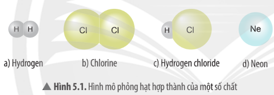 Hình 5.1 SGK KHTN 7 Chân trời sáng tạo