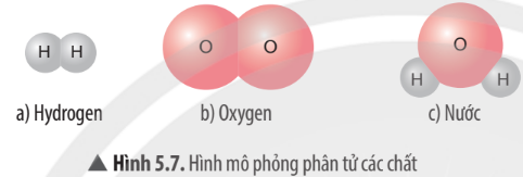 Hình 5.7 SGK KHTN 7 Chân trời sáng tạo