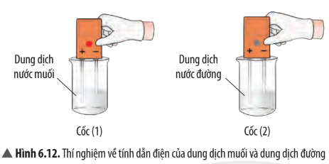 Hình 6.12 Khoa học tự nhiên 7 CTST