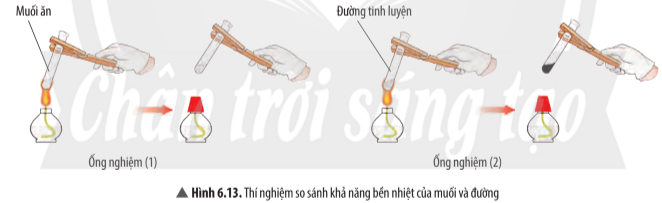 Hình 6.13 Khoa học tự nhiên 7 CTST