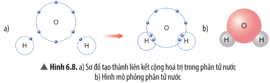 Hình 6.8 SGK KHTN 7 Chân trời sáng tạo