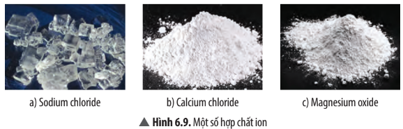 Hình 6.9 Khoa học tự nhiên 7 CTST