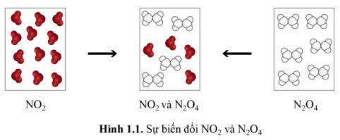 Hóa học 11 Cánh Diều bài 1