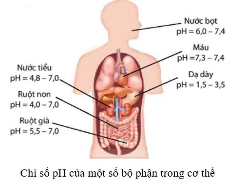 Hóa học 11 Cánh Diều bài 3