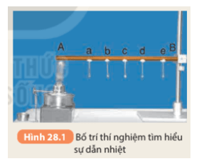 Khoa học tự nhiên 8