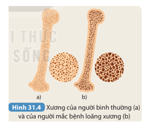 Khoa học tự nhiên 8