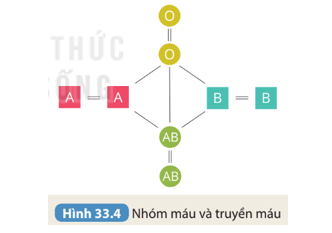 Khoa học tự nhiên 8