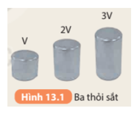 Khoa học tự nhiên 8 Kết nối tri thức bài 13 trang 56, 57, 58