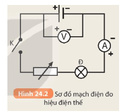 Khoa học tự nhiên 8