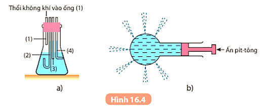 Khoa học tự nhiên 8