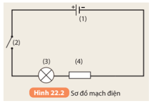 Khoa học tự nhiên 8