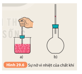 Khoa học tự nhiên 8