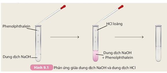 Khoa học tự nhiên 8 Kết nối tri thức bài 9 trang 39, 40, 41, 42, 43