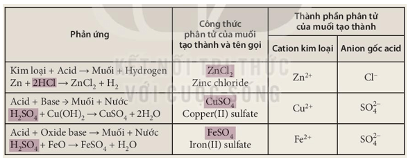 Khoa học tự nhiên 8 Kết nối tri thức bài 11 trang 48, 49, 50, 51, 52