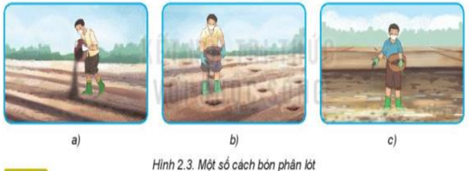 Quan sát Hình 2.3 và nêu các cách bón phân lót tương ứng với mỗi hình