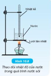 KHTN 6 bài 10