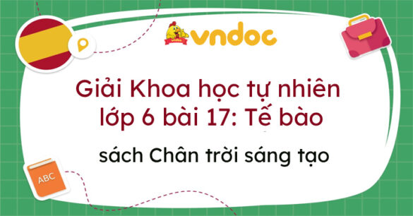 Khoa học tự nhiên 6 bài 17 Tế bào Chân trời sáng tạo