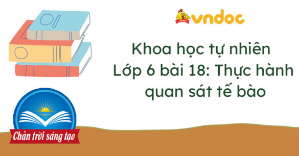 Khoa học tự nhiên 6 bài 18 Thực hành quan sát tế bào sinh vật