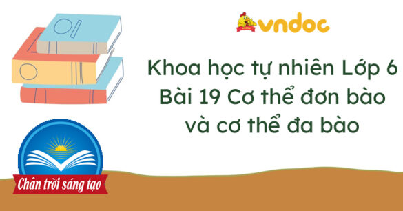 Khoa học tự nhiên 6 bài 19 Cơ thể đơn bào và cơ thể đa bào