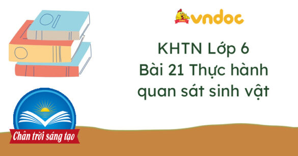 Khoa học tự nhiên 6 bài 21 Thực hành quan sát sinh vật