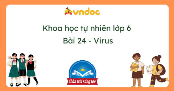 Khoa học tự nhiên 6 Bài 24: Virus