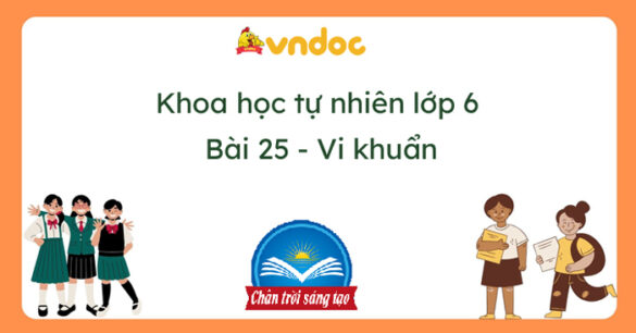 Khoa học tự nhiên 6 Bài 25: Vi khuẩn