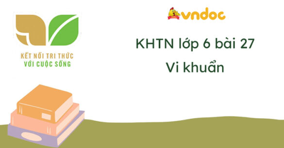 Khoa học tự nhiên lớp 6 bài 27: Vi khuẩn