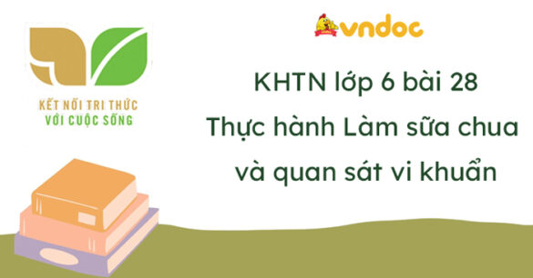 Khoa học tự nhiên lớp 6 Bài 28: Thực hành Làm sữa chua và quan sát vi khuẩn