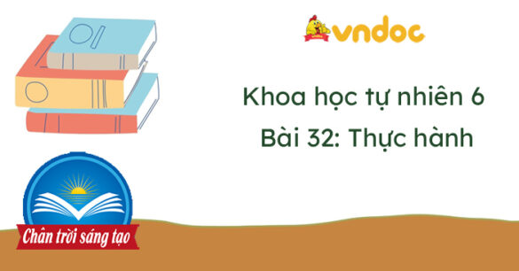 Khoa học tự nhiên 6 Bài 32: Thực hành quan sát và phân loại thực vật ngoài thiên nhiên