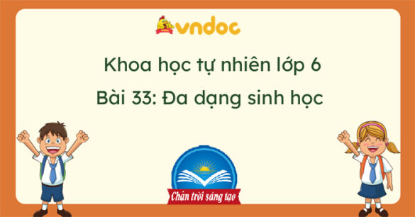 Khoa học tự nhiên 6 Bài 33: Đa dạng sinh học