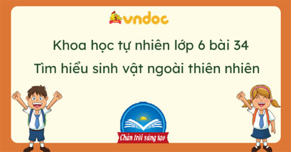 Khoa học tự nhiên 6 Bài 34: Tìm hiểu sinh vật ngoài thiên nhiên